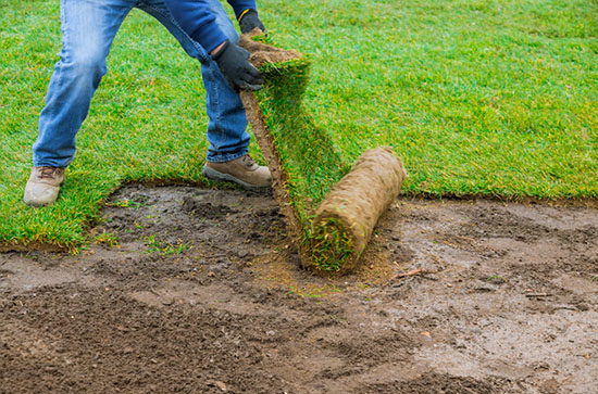landscaping